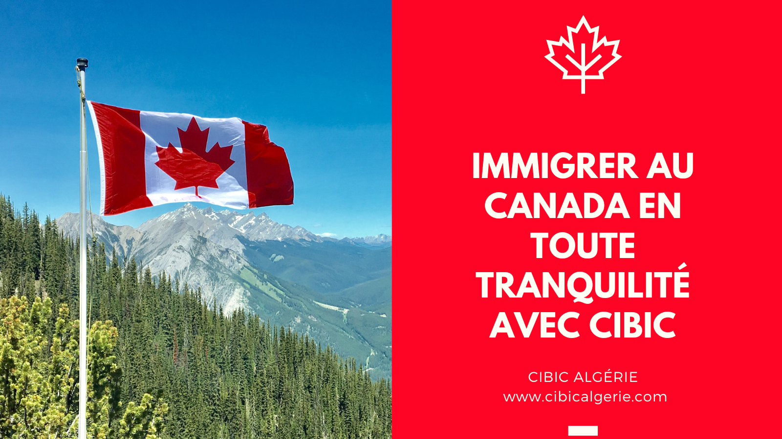 Alger Chraga Autre Autre Cibic immigration canada