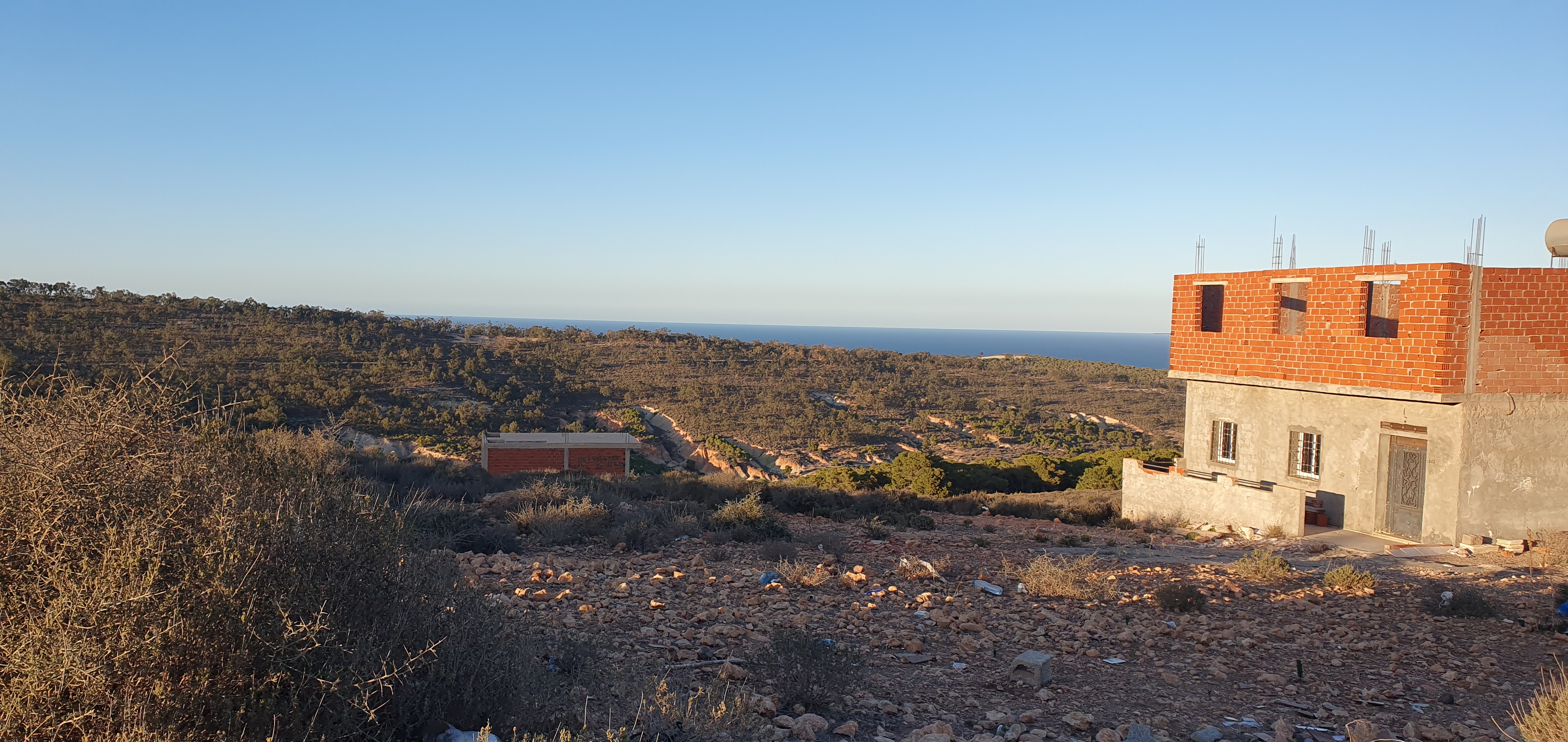 Tlemcen Marsa Ben Mhidi Vente Surfaces Terrain notaris pour construire