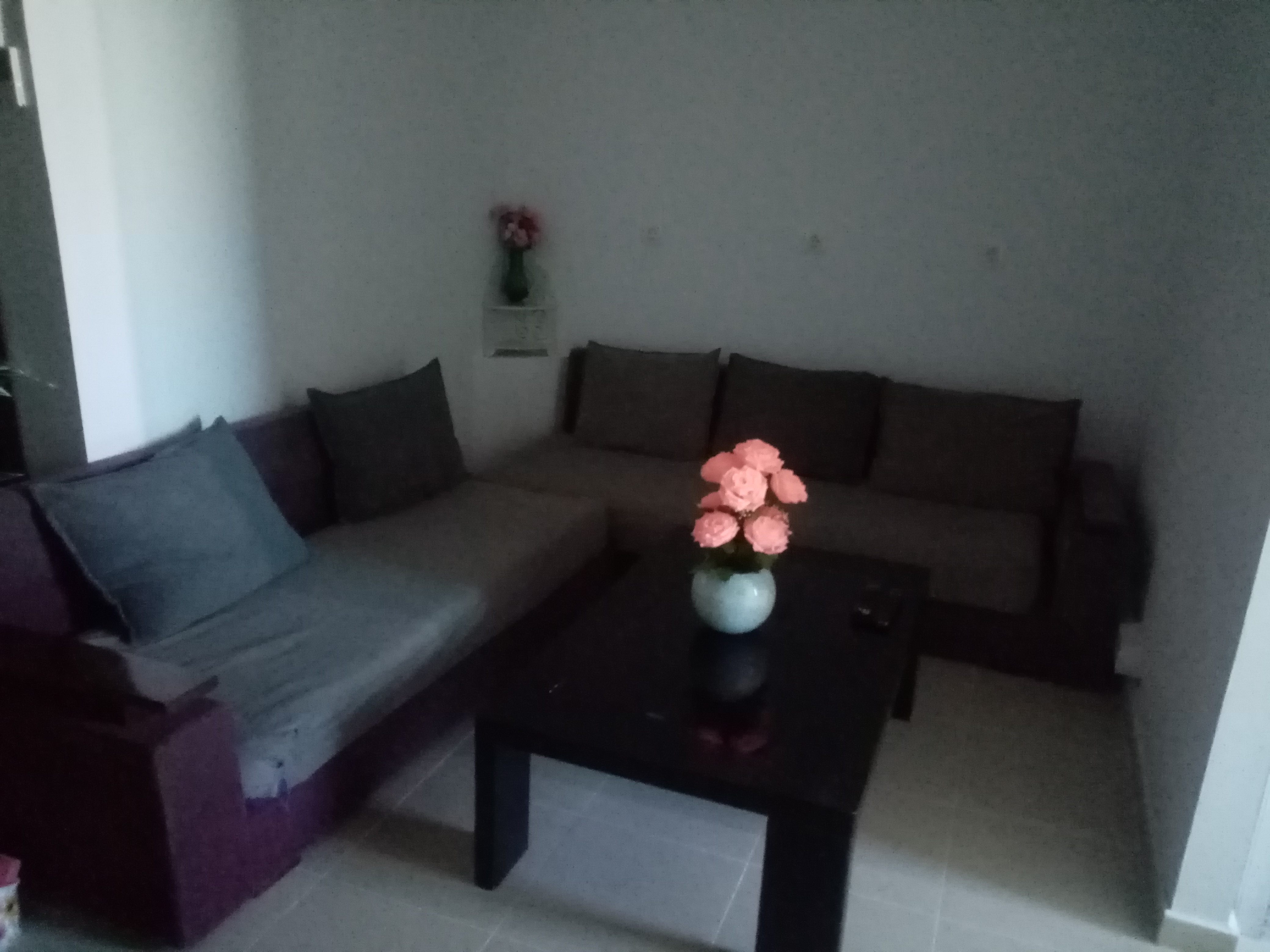 Oran Oran Vente Appart. 1 pice Appart oran centre