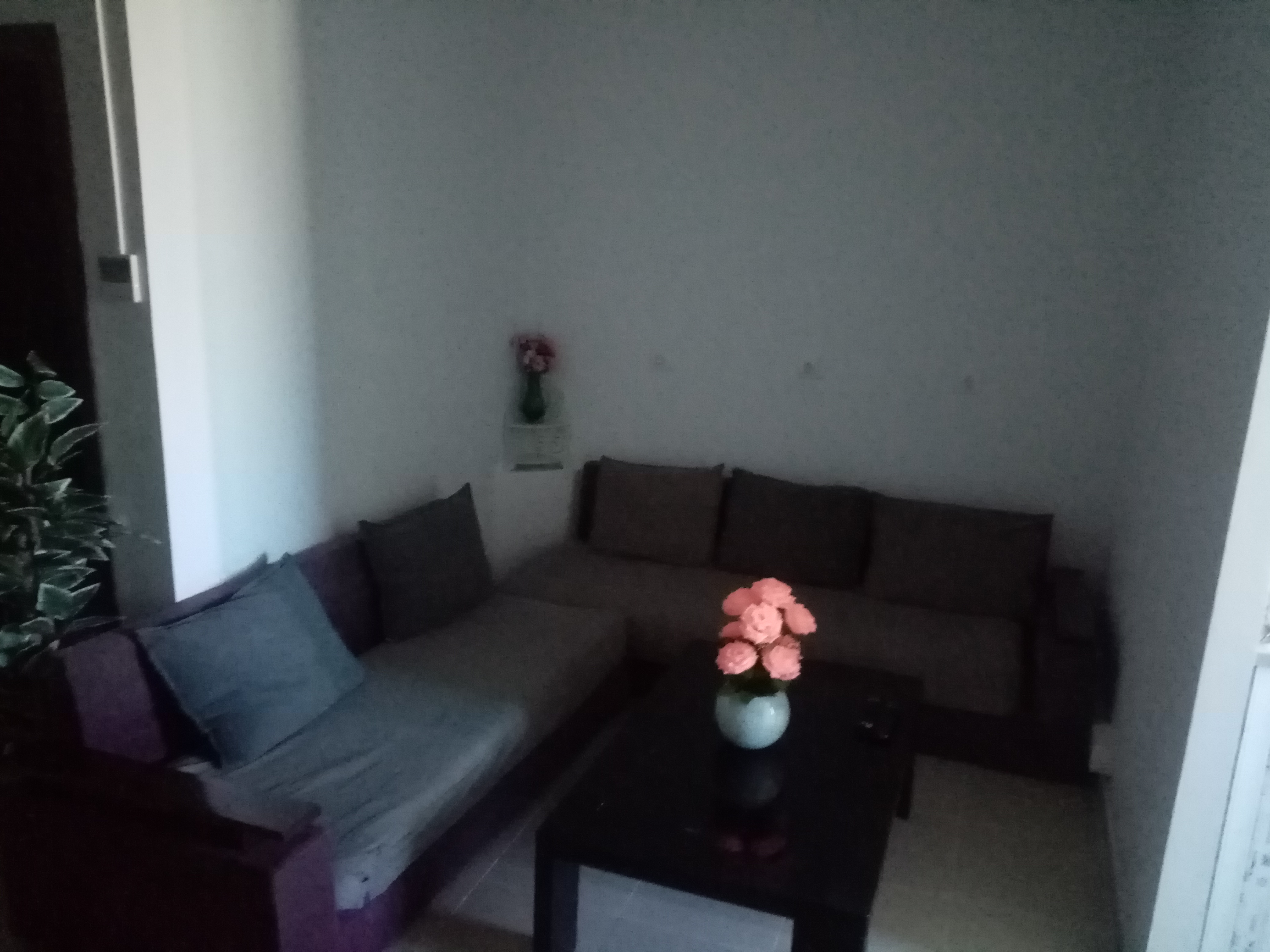 Oran Oran Location vacances Appart. 1 pice Appart bien situ