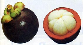Alger Alger Centre Autre Autre Mangosteen as fresh fruit