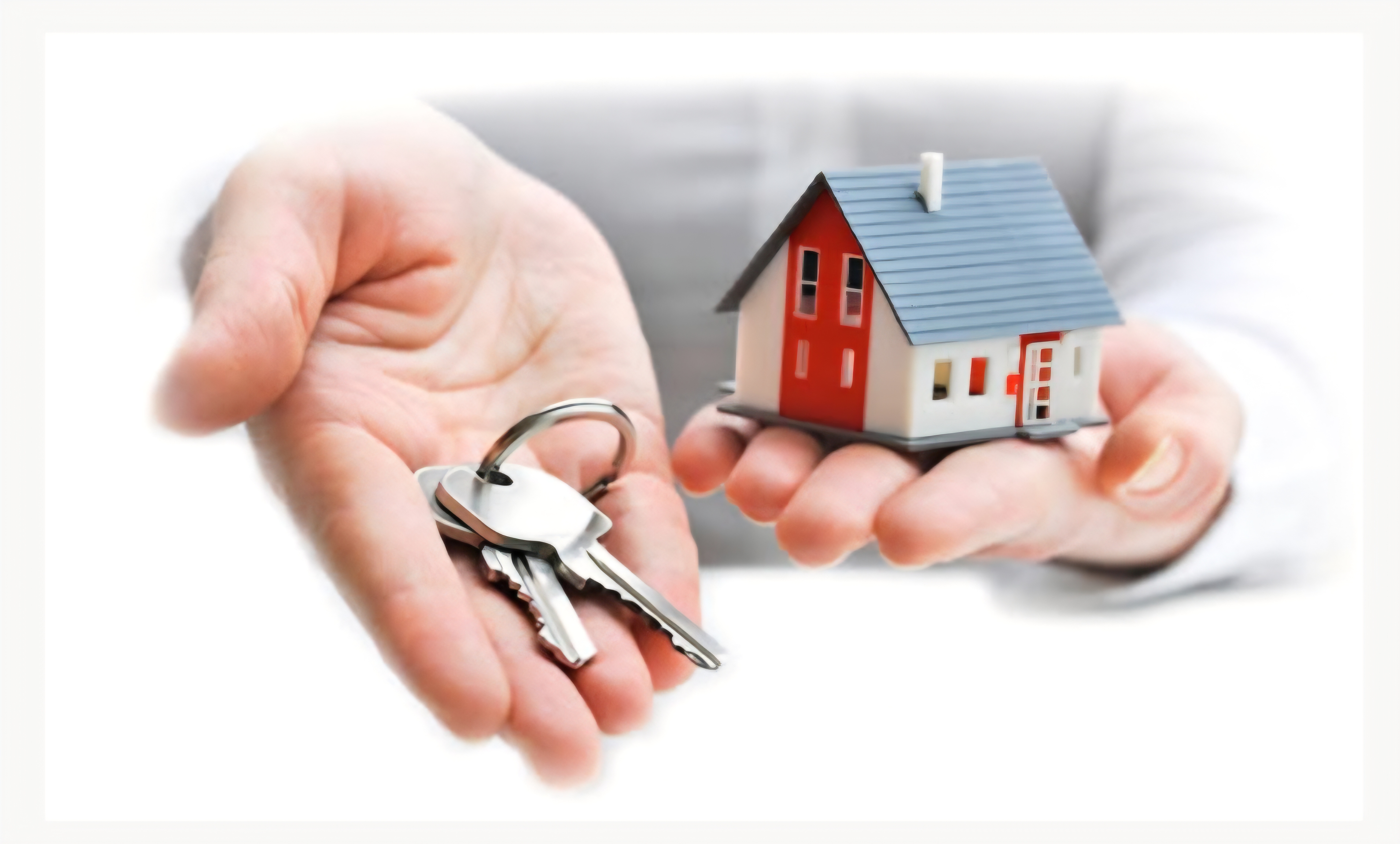 Alger&nbsp;Alger Centre&nbsp;Vente&nbsp;Autre&nbsp;Loccal � vendr