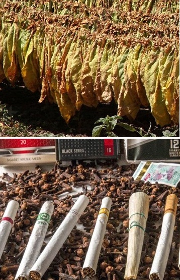 Alger&nbsp;Alger Centre&nbsp;Autre&nbsp;Autre&nbsp;Tobacco leaf