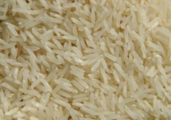 Alger&nbsp;Alger Centre&nbsp;Autre&nbsp;Autre&nbsp;Rice irri6